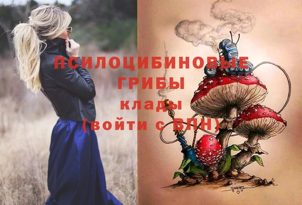 индика Покровск