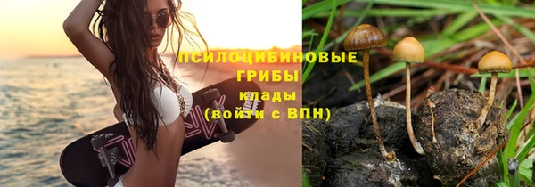 бутират Покров