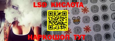 крисы Аргун