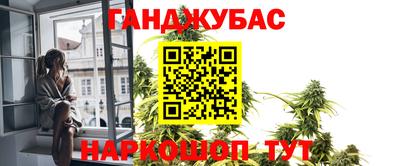 крисы Аргун