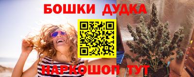 PSILOCYBIN Апшеронск