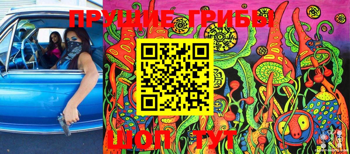 Ахтубинск  Галлюциногенные грибы Magic Shrooms  Вход с VPN 