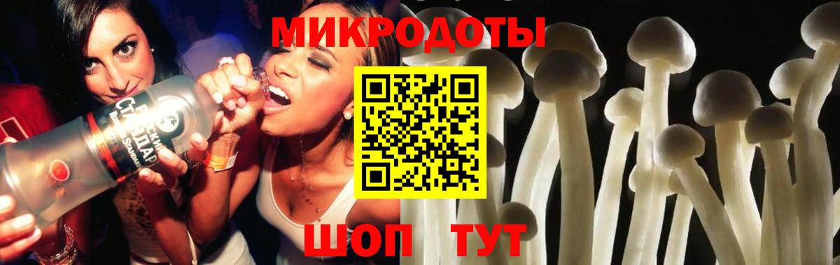 Галлюциногенные грибы MAGIC MUSHROOMS  купить наркотик  Ахтубинск 